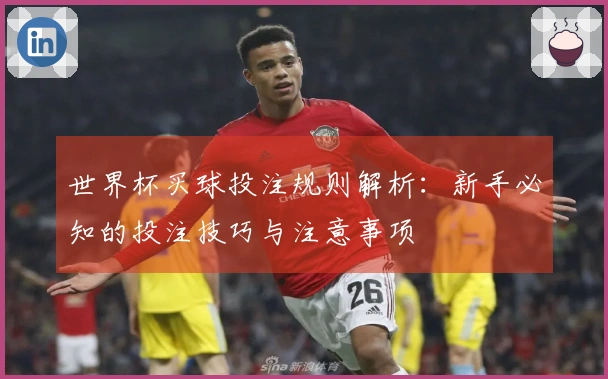 世界杯买球投注规则解析：新手必知的投注技巧与注意事项