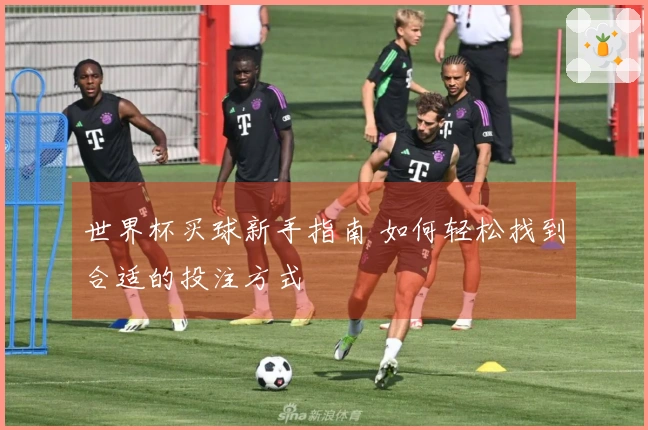 世界杯买球新手指南 如何轻松找到合适的投注方式