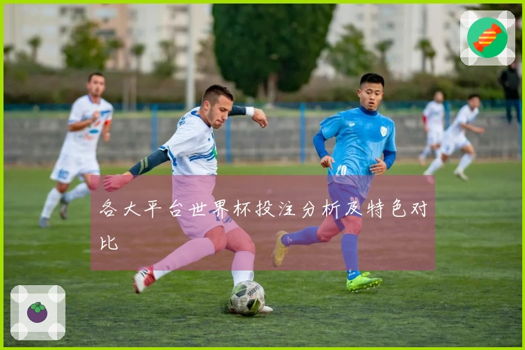 各大平台世界杯投注分析及特色对比
