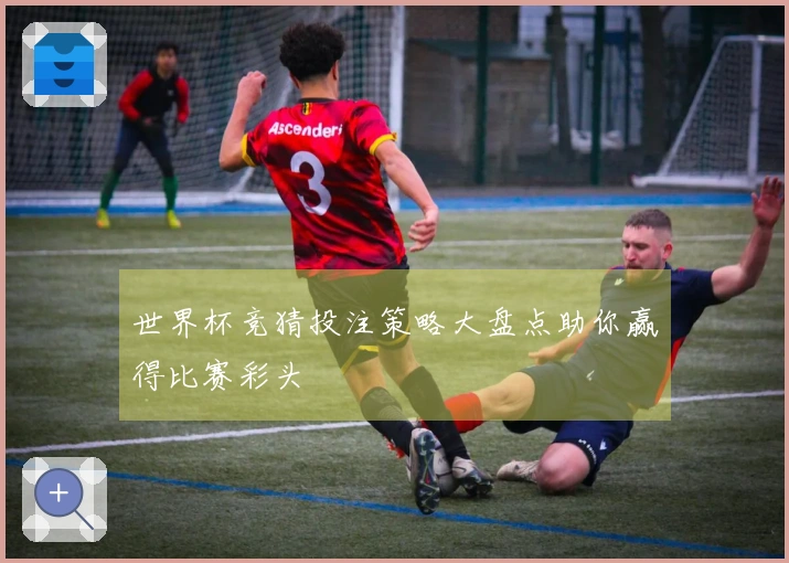 世界杯竞猜投注策略大盘点助你赢得比赛彩头