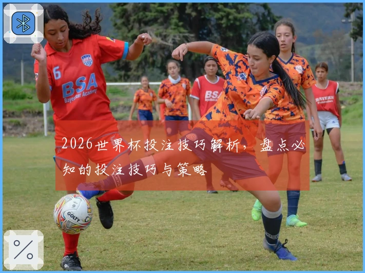 2026世界杯投注技巧解析，盘点必知的投注技巧与策略