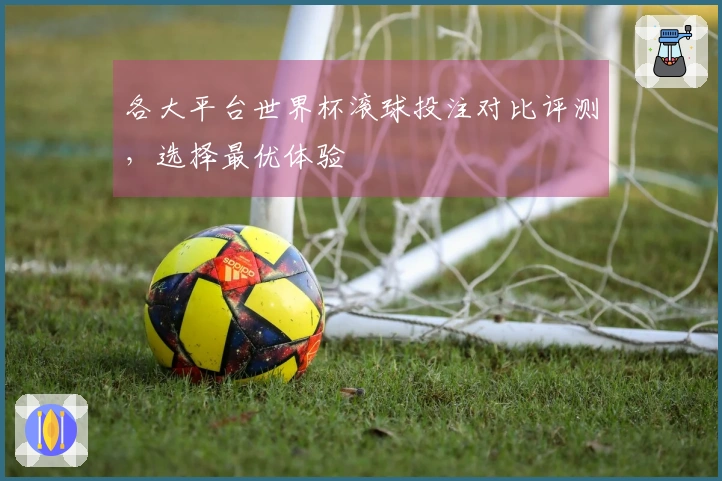 各大平台世界杯滚球投注对比评测，选择最优体验