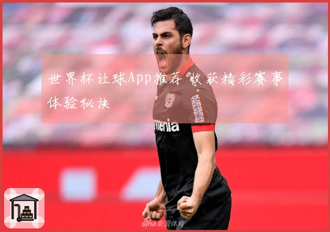 世界杯让球App推荐 收获精彩赛事体验秘诀