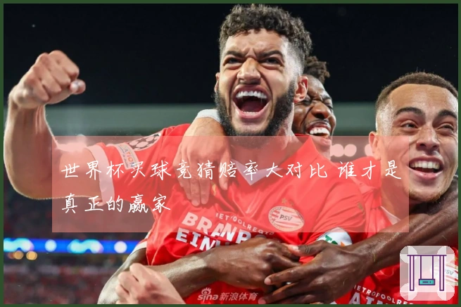 世界杯买球竞猜赔率大对比 谁才是真正的赢家
