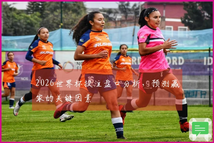 2026世界杯投注盘口分析，预测赢家的关键因素