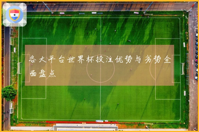 各大平台世界杯投注优势与劣势全面盘点