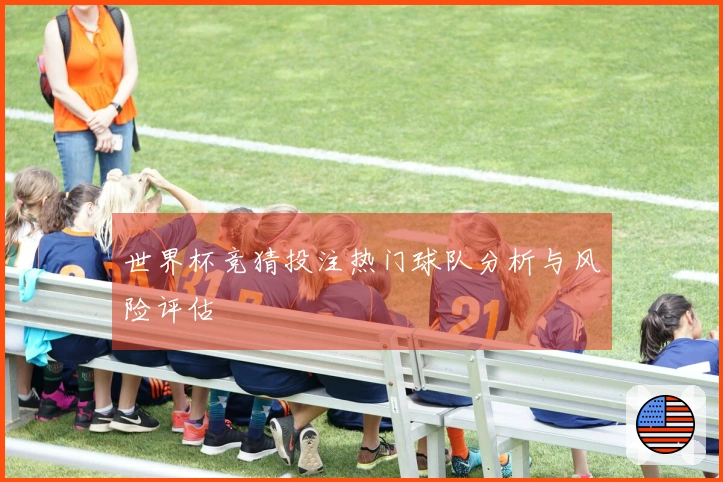 世界杯竞猜投注热门球队分析与风险评估