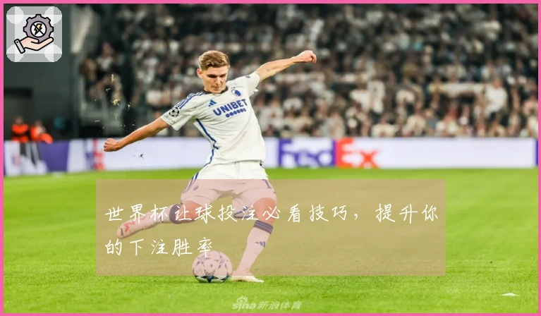 世界杯让球投注必看技巧，提升你的下注胜率
