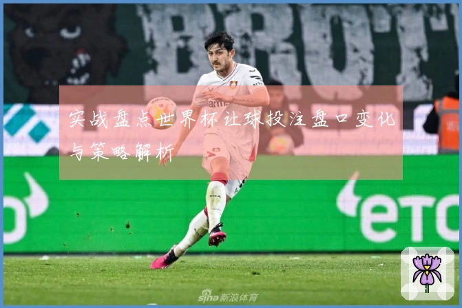 实战盘点世界杯让球投注盘口变化与策略解析