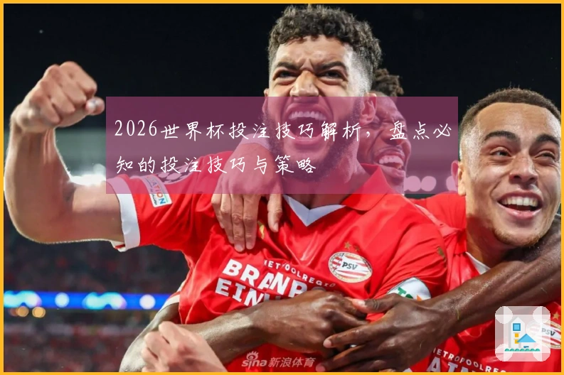 2026世界杯投注技巧解析，盘点必知的投注技巧与策略