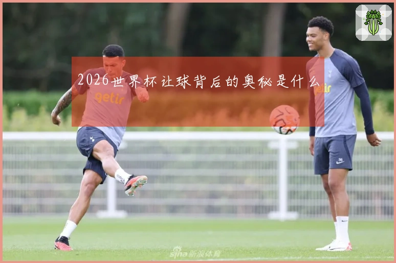 2026世界杯让球背后的奥秘是什么