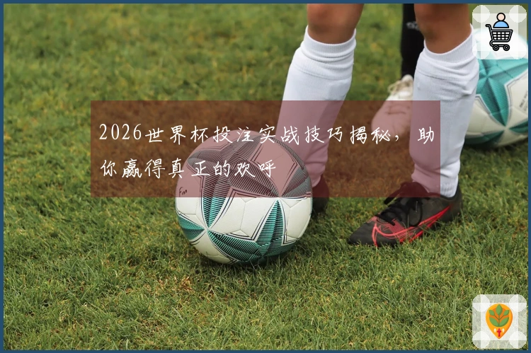 2026世界杯投注实战技巧揭秘，助你赢得真正的欢呼