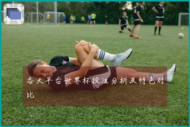各大平台世界杯投注分析及特色对比