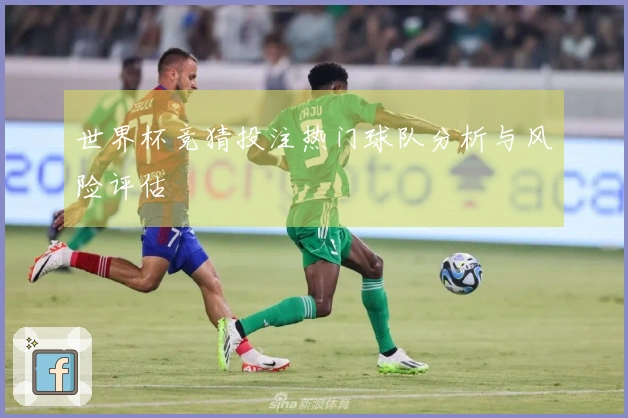 世界杯竞猜投注热门球队分析与风险评估
