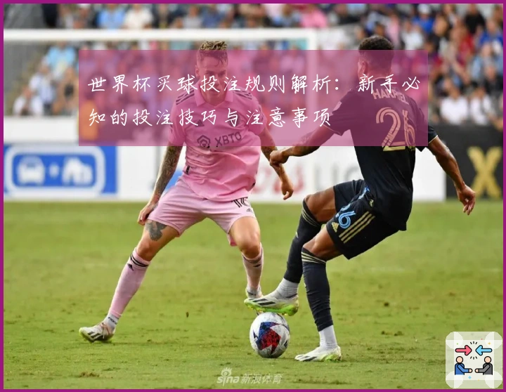 世界杯买球投注规则解析：新手必知的投注技巧与注意事项